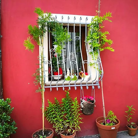Refined With Jacuzzi In Sant'ippolito, 110 Sqm Appartement SantʼIppolito